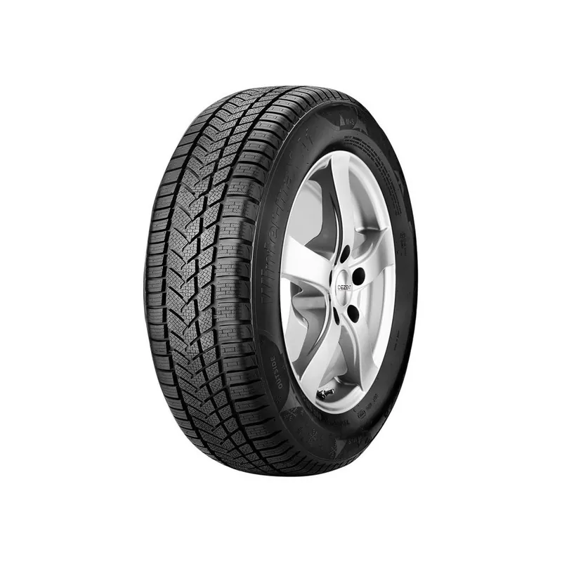 Prezzo Scontato 205/50 R17 93 V Sunny Wintermax Nw211