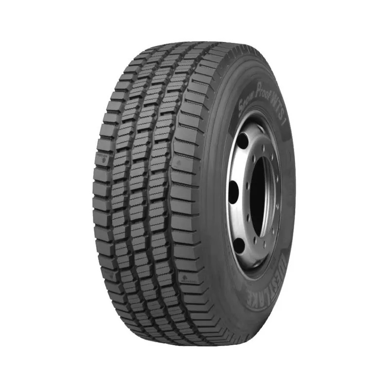 Compra Adesso 385/65 R22.5 160/158 K Westlake Snow Proof Wts1