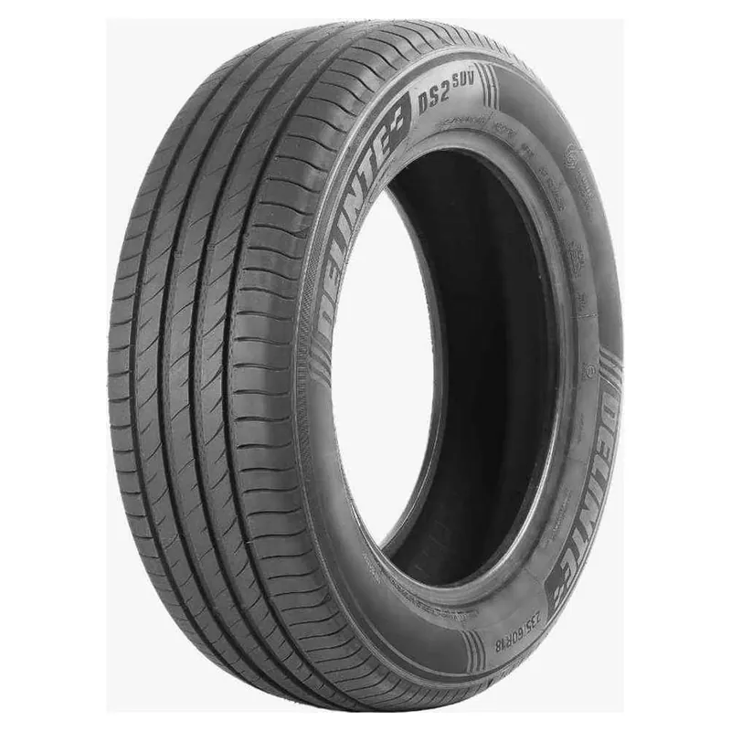 205 55 ZR16 94W XL DELINTE DS2 Promo Stagionale