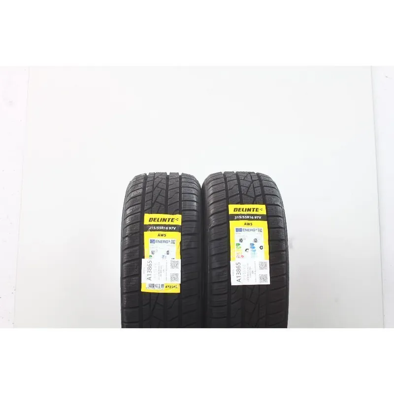 215 55 R16 97V M+S XL DELINTE AW5 Esclusivo
