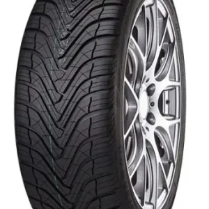 215 50 R19 97W XL GRIPMAX SUREGRIP AS XL Promozione