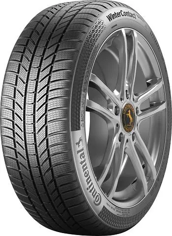 205 45 R17 88V XL CONTINENTAL TS-870 P FR XL Miglior Prezzo