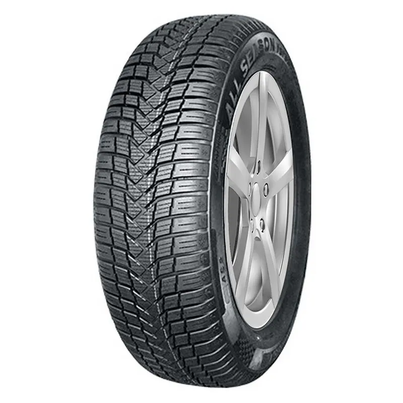 Occasione Imperdibile 225 65 R17 106V XL AUTOGREEN AS2 4S
