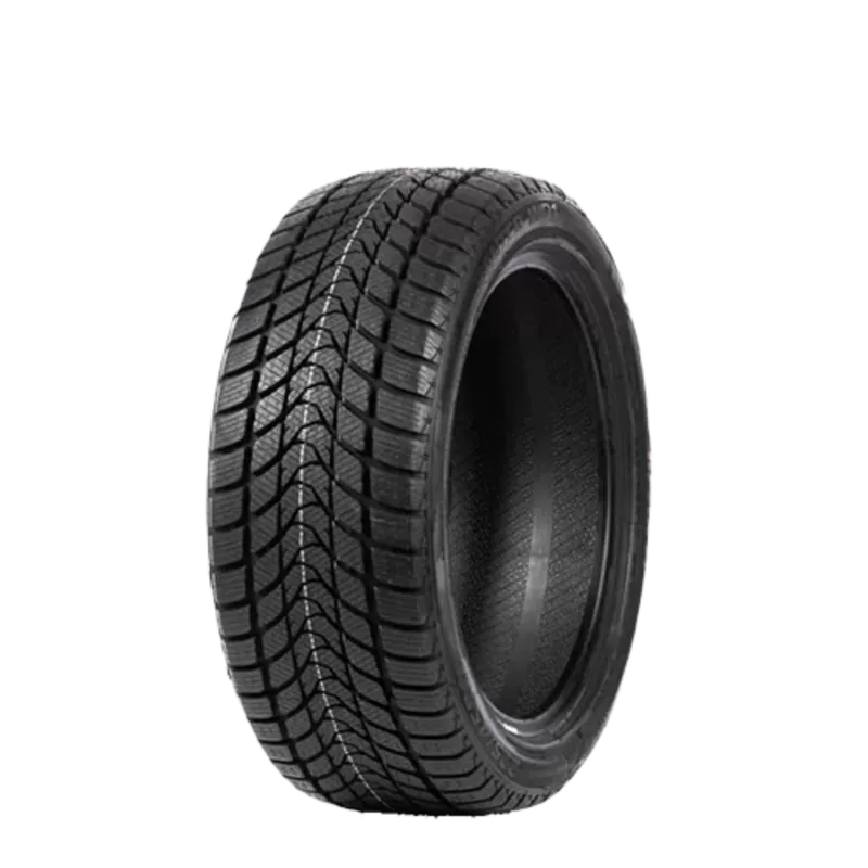 Nuovo Arrivo 165 70 R14 81T DELINTE WINTER WD1 M+S 3PMSF