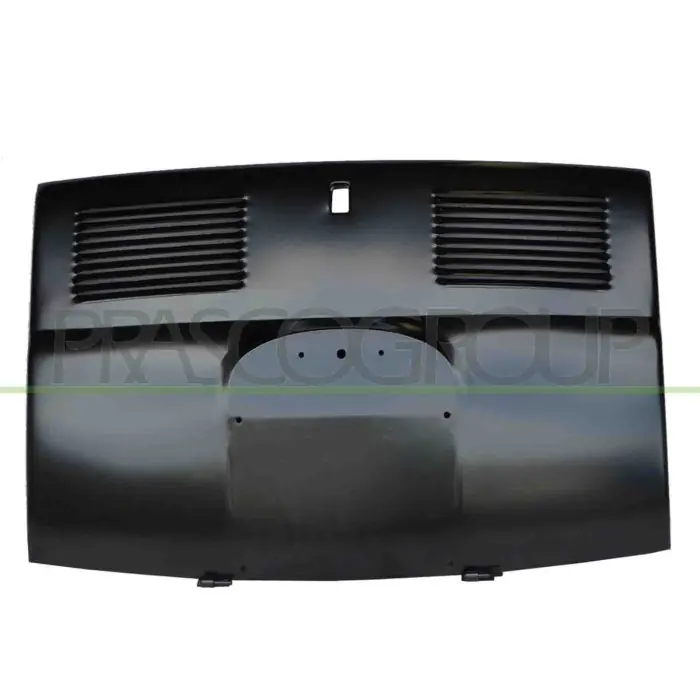 Cofano Posteriore Per Fiat 500 L Dal 1965 Al 1975 Super Prezzo