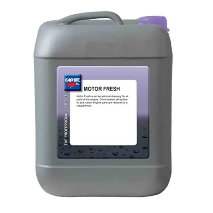 Professionale Cartec Motor Fresh Silicon Free (5 Litri)