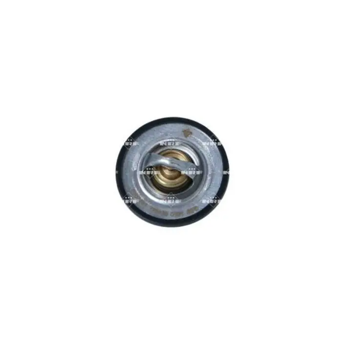Direttamente Dal Produttore Termostato, refrigerante 725129 NRF per RENAULT PEUGEOT CITROEN AUDI VW FIAT