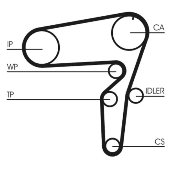 Cinghia dentata CT1076 CONTINENTAL CTAM per FIAT ALFA ROMEO LANCIA Bestseller