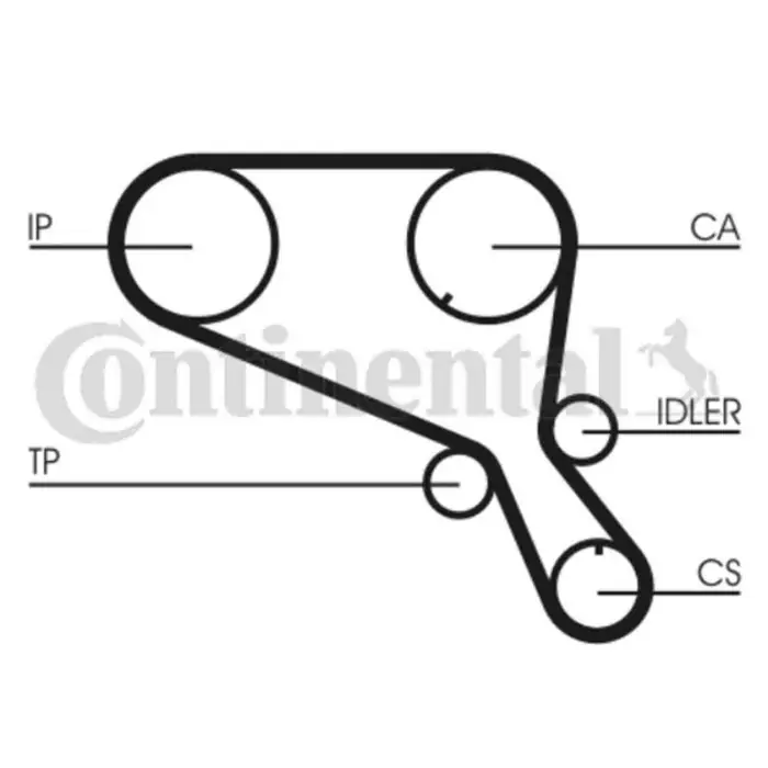 Cinghia dentata CT953 CONTINENTAL CTAM per LAND ROVER Più Venduto