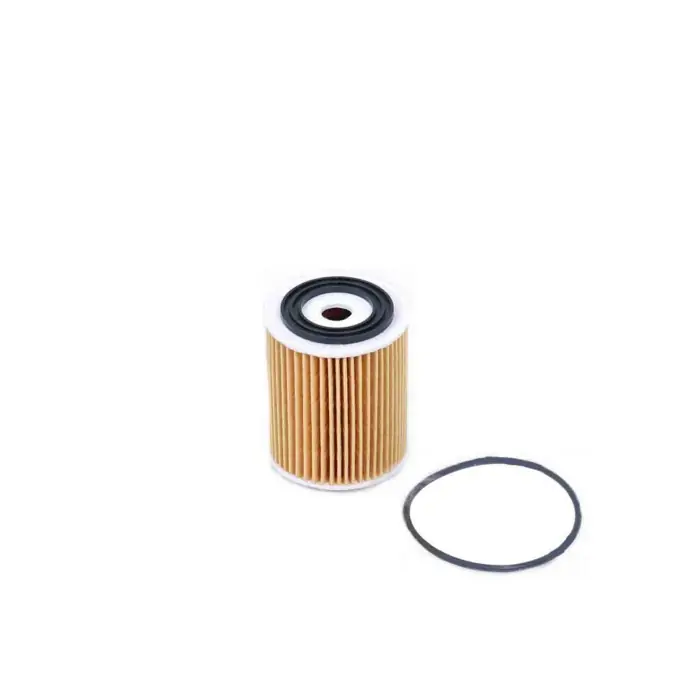 Prezzo Conveniente Filtro Olio Fiat 500x Tipo Tre Volumi Fl0269 7087808 Cartuccia Filtro Bremsi