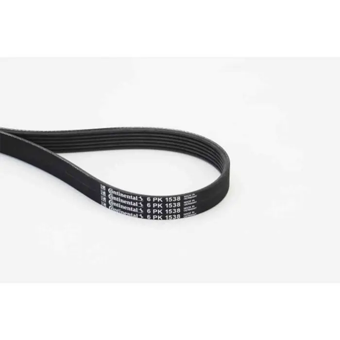 Must-Have Cinghia Poly-V 6PK1538 CONTINENTAL CTAM per BMW VW FORD TOYOTA OPEL HYUNDAI