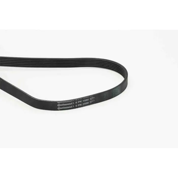Cinghia Poly-V 6PK1590 CONTINENTAL CTAM per RENAULT PEUGEOT CITROEN AUDI VW FORD Promo Stagionale