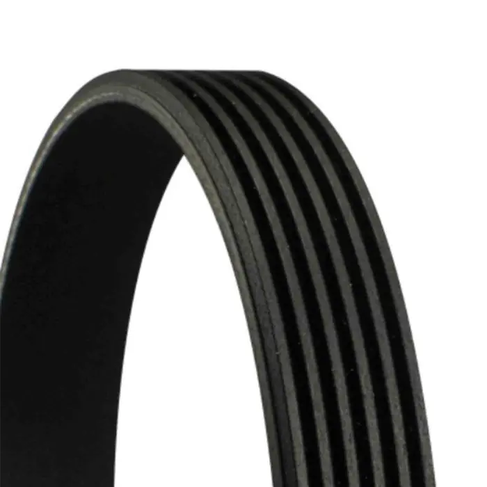 Cinghia Poly-V 6PK1856 CONTINENTAL CTAM per AUDI FIAT JEEP ALFA ROMEO RAM Prezzo Ridotto