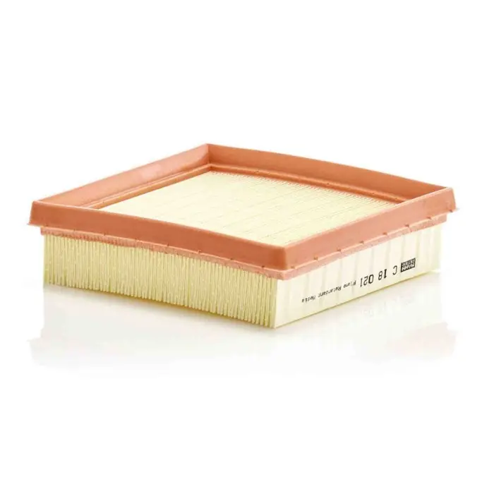 Offerta Speciale Filtro aria C 18 021 MANN-FILTER per TOYOTA LEXUS