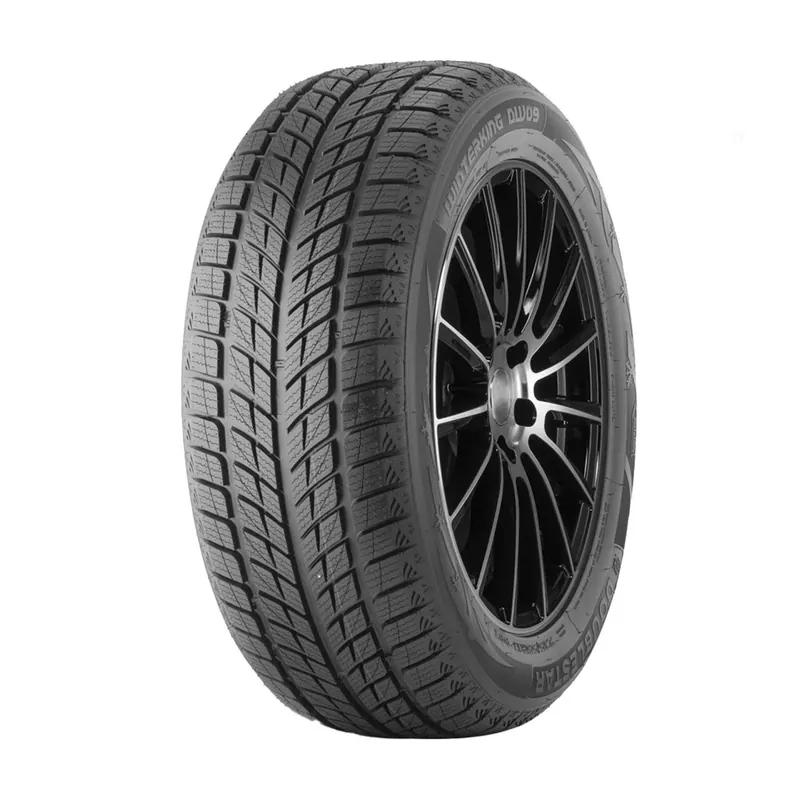 DOUBLE STAR WINTERKING DW09 245/40 R18 93H TL M+S 3PMSF Ultima Occasione