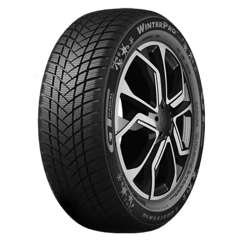 GT RADIAL WINTERPRO 2 SPORT EVO XL 205/45 R17 88V TL M+S 3PMSF Offerta Del Giorno