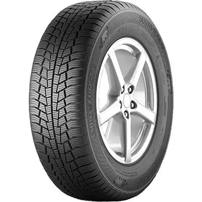 Prezzo Ridotto GISLAVED EUROFROST 6 205/55 R16 91T TL M+S 3PMSF