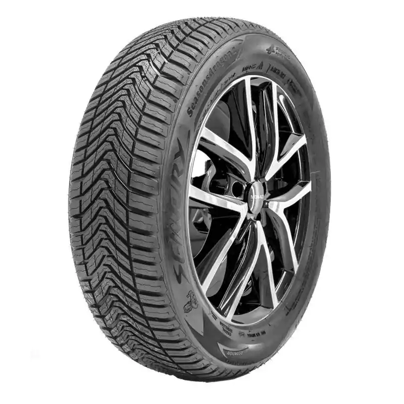 Esclusivo SENTURY SEASONSDRAGON 2 XL 205/40 R17 84W TL M+S 3PMSF