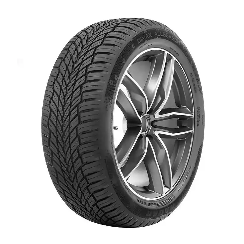 Scelto Dai Clienti RADAR DIMAX ALLSEASON XL 225/55 R19 103W TL M+S 3PMSF